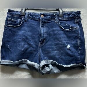 Women’s Arizona Brand Shorts Size 17 High Rise